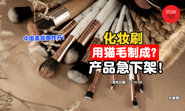 China-Makeup-Brushes-Cat-Hair