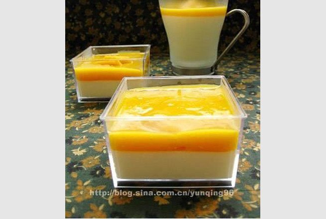 pudding and agar agar (14)