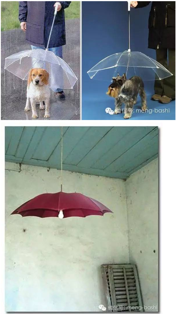 umbrelladiy (9)